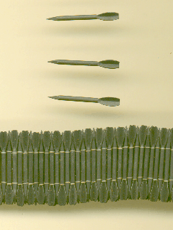 Flechettes