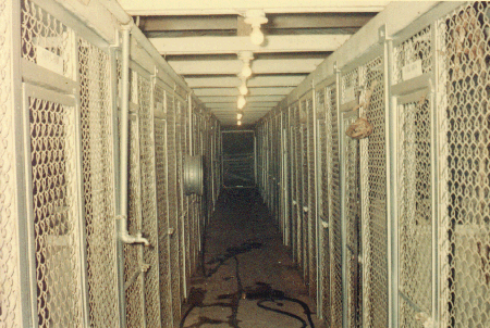 Car 15