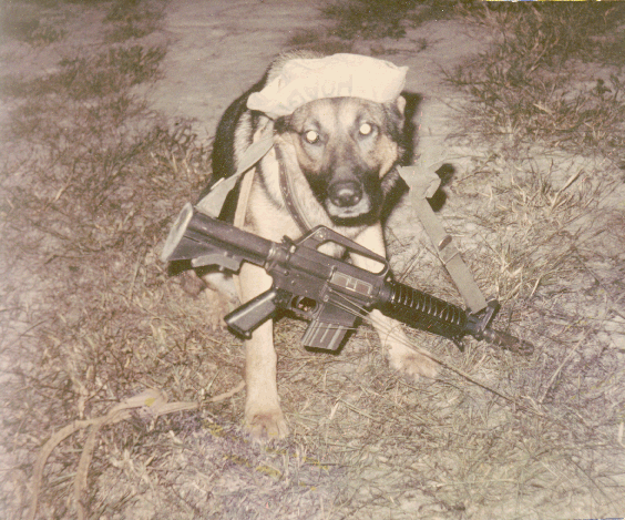 Rebel Sit