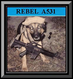 Rebel Framed