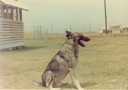 Smokey Sit