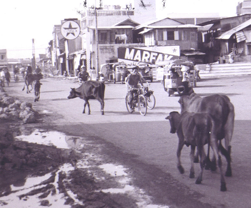 Salisbury photograph