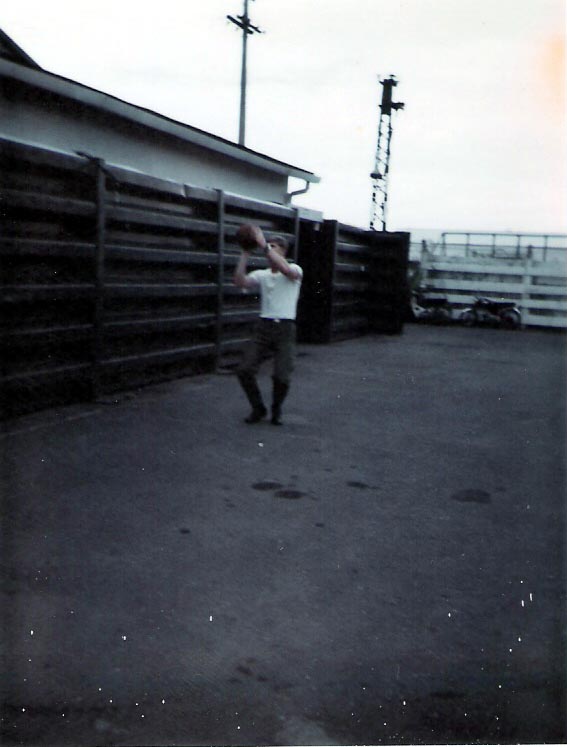 26