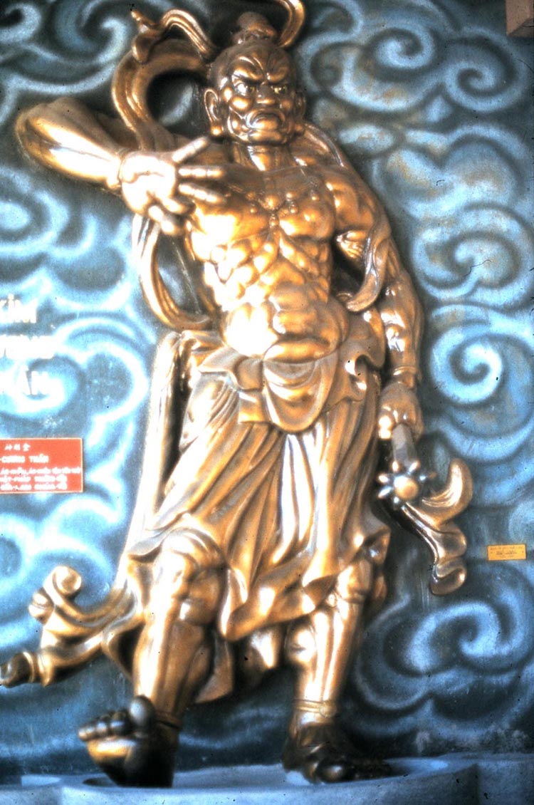 43