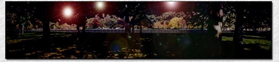 The Wall Flares. 2009 Copyright by: Don Poss. The National Vietnam Veterans Memorial, Constitution Gardens, Washington, D.C.